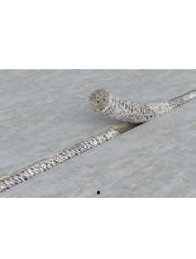 Cordon coupe feu joint de dilatation structure